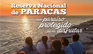 Consorcio Camisea