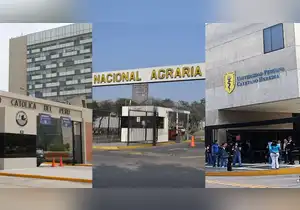 Universidades peruanas que destacan por sus programas de innovación y emprendimiento