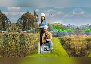 Ingeniería ambiental y energías renovables: las nuevas carreras verdes con alta demanda