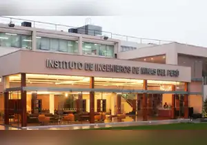 IIMP pide garantizar objetividad en debate del Reinfo y advierte riesgos de extender el proceso de formalización