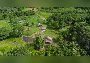 Defensa de la Amazonía peruana: líderes indígenas y científicos marcaron avances históricos en 2025