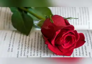 Por qué se regalan libros y rosas a los lectores el 23 de abril