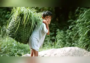 Trabajo infantil: una realidad que vulnera los derechos de los niños