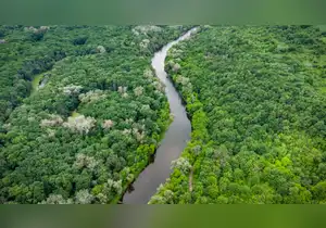 Mujeres indígenas piden al Senado proteger el agua y sus derechos