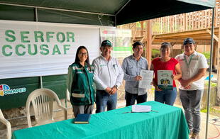 SERFOR impulsa la reforestación en Cajamarca: 3700 familias se beneficiarán