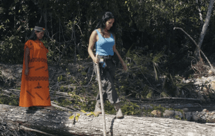 Reconocimiento global: UNESCO premia a científica peruana por descubrimientos en la selva amazónica