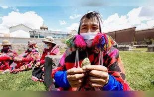 UNESCO abre convocatoria a empresas privadas para sumarse al Pacto por la Cultura 2030