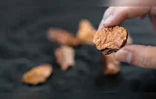 La minería acelera su transformación laboral y tecnológica para duplicar su producción de cobre