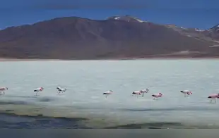 Sudamérica será determinante para la transición energética global, advierte el British Geological Survey