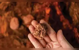 Exploración minera en Perú crece 20% impulsada por mayor demanda global de cobre