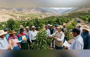 Empresa minera Southern Perú brinda capacita a agricultores de Torata para mejorar cultivos de palta y damasco