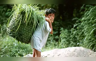 Trabajo infantil: una realidad que vulnera los derechos de los niños