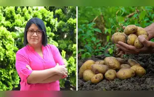 Premio mundial a científica peruana por crear papas contra la anemia