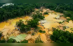 Minería ilegal en Madre de Dios: más de 940 hectáreas de la Reserva Tambopata están afectadas