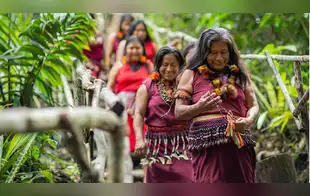 Pueblo Awajún: Alto Mayo protege bosque y fortalece economía