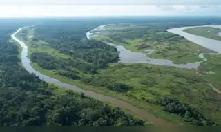 Ministerio del Ambiente lanza proyecto de manejo y restauración del bosque seco de la costa norte del Perú