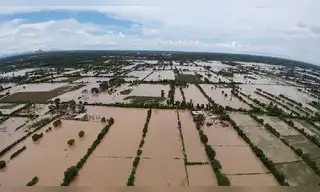 Fenómeno del Niño pone en riesgo biodiversidad del país