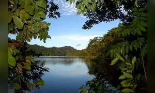 Invertirán $ 19.7 millones en la conservación de bosques tropicales