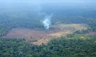 El 25% de ecosistemas de Colombia en estado crítico