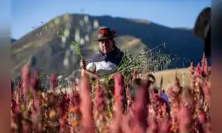Destinan S/ 168 millones para garantizar agricultura sostenible