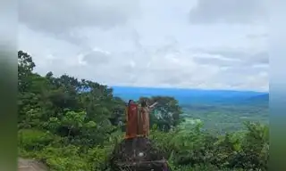 Perú invertirá más de S/ 169 millones para conservar bosques