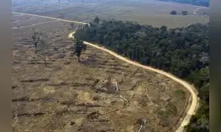 Madre de Dios impulsa proyecto para reducir la deforestación