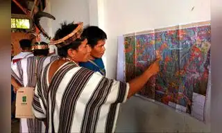 Comunidades nativas deben S/129 millones por Infracciones forestales