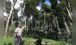 Perú presenta plan de 12 ejes sostenibles a la OCDE