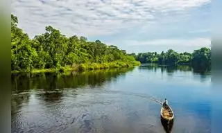 Áreas naturales protegidas registran conservación superior al 95%