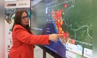 Más de700 incendios forestales azotaron el Perú en 2024