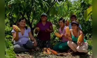 Programa Bosques implementa negocios ecoamigables en la selva