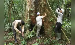Conservación de recursos naturales movilizarán S/ 19 millones