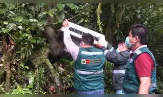 Animales silvestres rescatados fueron liberados en Reserva Natural