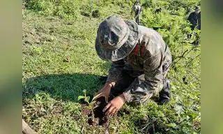 Marina de Guerra impulsa reforestación en la Amazonía