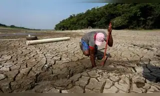 Cambio climático y pérdida de naturaleza son las principales amenazas del mundo