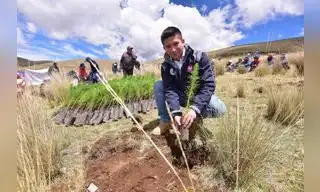 Implementarán plantaciones forestales en cinco regiones del país