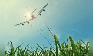 Ecopilotaje: La tendencia de las aerolíneas a favor del medioambiente