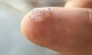 Microplásticos podrían triplicarse para el año 2060