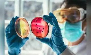 Cambio climático agravará problema de resistencia a los antimicrobianos