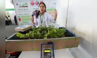 Alumnos de la selva desarrollan proyectos para proteger medio ambiente
