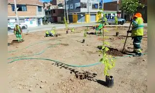 Botadero informal es transformado en área verde