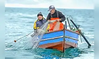 Entidades impusan pesca responsable con el ambiente