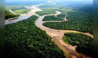 Amazonas cuenta con mapas regionales de ecosistemas