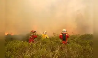 Incendios forestales amenazan a más de un millón de personas