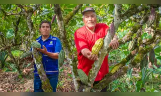 El VRAEM se alista para celebrar al cacao que dio origen al "mejor chocolate del mundo"