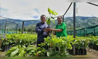 Más de 200,000 plantones recuperarán áreas degradadas de Ayacucho