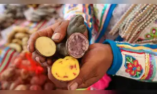 Perú avanza en materia de conservación de la biodiversidad