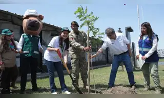 Cuartel del Ejército Peruano es arborizado con 700 plantones