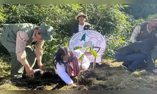 “Un millón de árboles”: campaña para reforestar santuario de Machu Picchu
