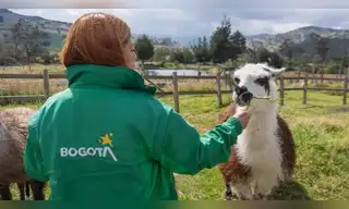 Colombia da enorme paso contra la explotación animal